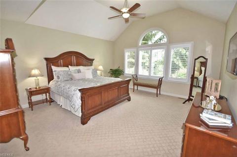 205 Brighton Dr, Aurora, OH 44202 photo 16