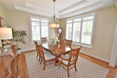 205 Brighton Dr, Aurora, OH 44202 photo 5