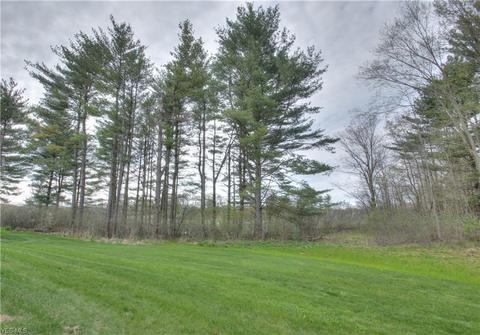 950 Warbler Way, Aurora, OH 44202 photo 34