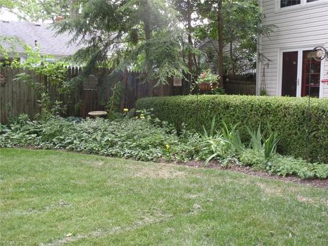 1150 E River St, Elyria, OH 44035 photo 34