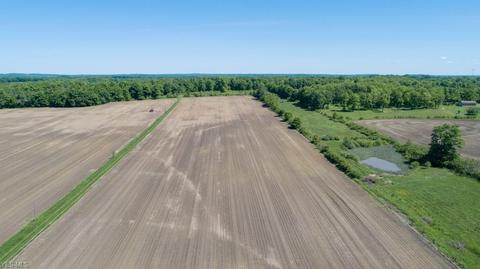 8263 State Route 303, Windham, OH 44288 photo 18