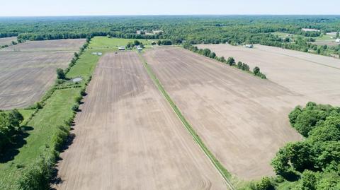 8263 State Route 303, Windham, OH 44288 photo 26