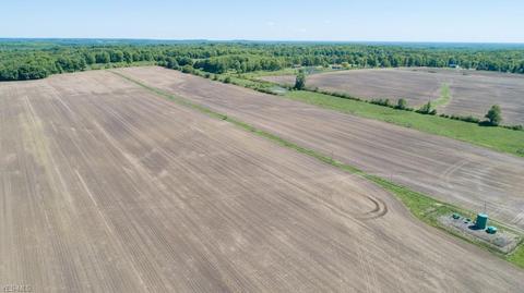 8263 State Route 303, Windham, OH 44288 photo 19