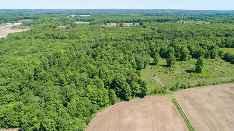 8263 State Route 303, Windham, OH 44288 photo 29