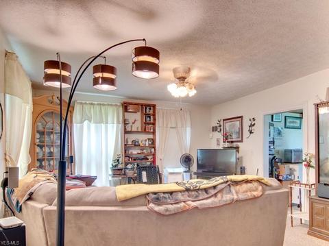 8263 State Route 303, Windham, OH 44288 photo 11