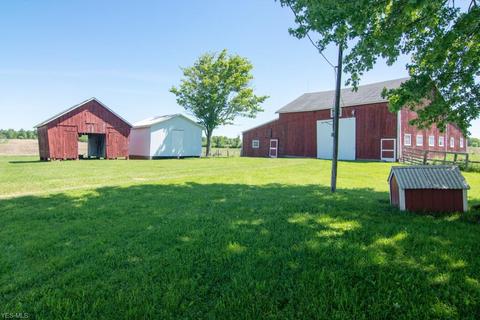 8263 State Route 303, Windham, OH 44288 photo 33