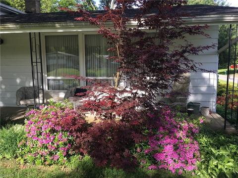 1663 Cloverfield Dr, Copley, OH 44321 photo 10