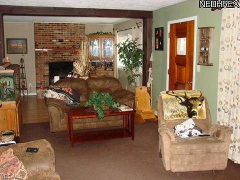 1120 Treelane Dr, Ashtabula, OH 44004 photo 9
