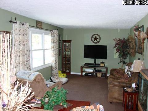 1120 Treelane Dr, Ashtabula, OH 44004 photo 8