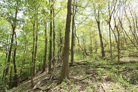 1201 Cool Spring Rd, Mingo Junction, OH 43938 photo 29