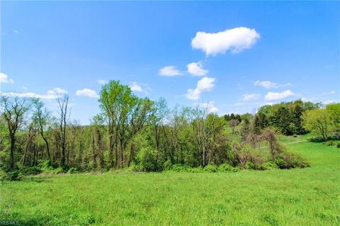 1201 Cool Spring Rd, Mingo Junction, OH 43938 photo 10