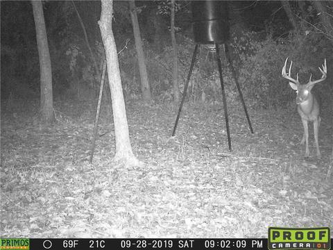 1201 Cool Spring Rd, Mingo Junction, OH 43938 photo 5