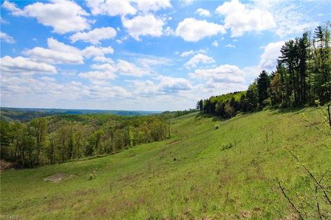 1201 Cool Spring Rd, Mingo Junction, OH 43938 photo 33