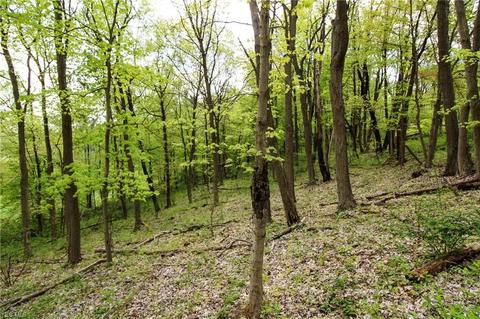 1201 Cool Spring Rd, Mingo Junction, OH 43938 photo 32