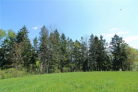 1201 Cool Spring Rd, Mingo Junction, OH 43938 photo 6