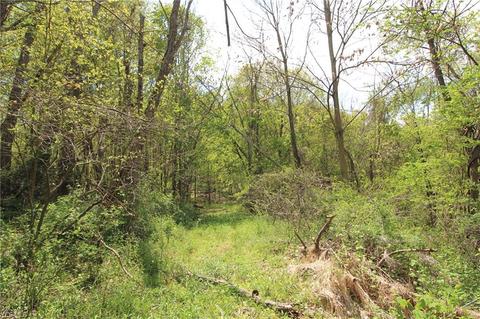 1201 Cool Spring Rd, Mingo Junction, OH 43938 photo 25