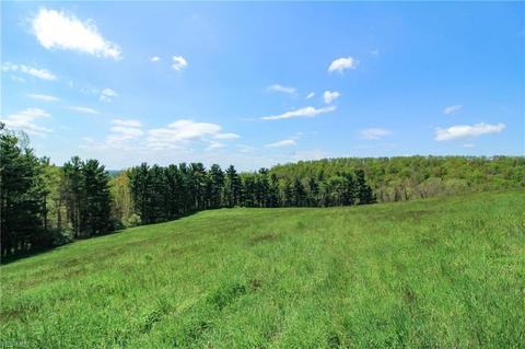 1201 Cool Spring Rd, Mingo Junction, OH 43938 photo 13