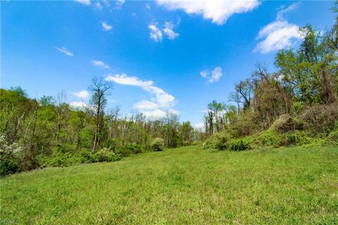 1201 Cool Spring Rd, Mingo Junction, OH 43938 photo 15