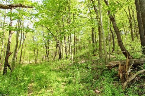 1201 Cool Spring Rd, Mingo Junction, OH 43938 photo 22