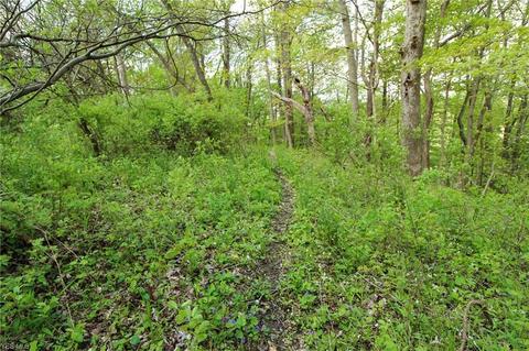 1201 Cool Spring Rd, Mingo Junction, OH 43938 photo 31