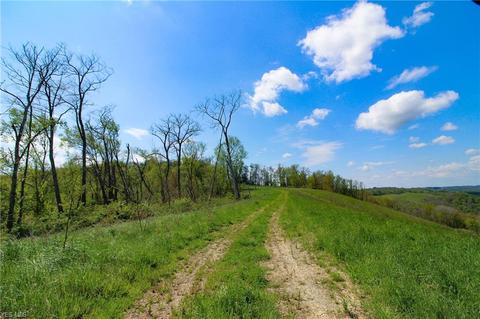 1201 Cool Spring Rd, Mingo Junction, OH 43938 photo 18