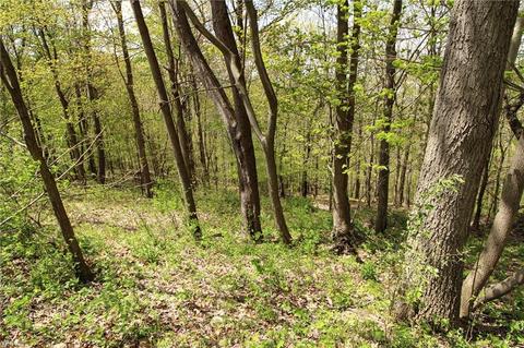 1201 Cool Spring Rd, Mingo Junction, OH 43938 photo 26