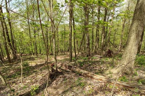 1201 Cool Spring Rd, Mingo Junction, OH 43938 photo 27
