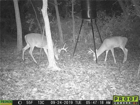 1201 Cool Spring Rd, Mingo Junction, OH 43938 photo 3