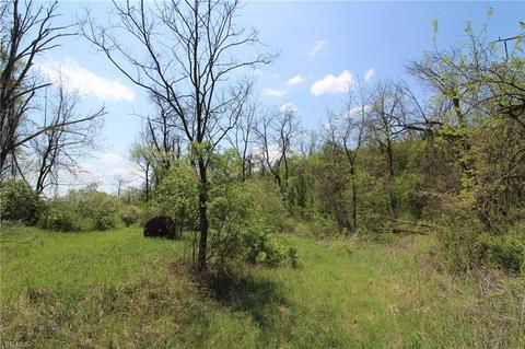 1201 Cool Spring Rd, Mingo Junction, OH 43938 photo 16
