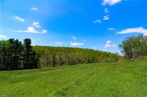 1201 Cool Spring Rd, Mingo Junction, OH 43938 photo 14