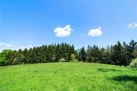 1201 Cool Spring Rd, Mingo Junction, OH 43938 photo 9