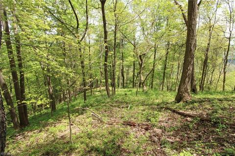 1201 Cool Spring Rd, Mingo Junction, OH 43938 photo 30