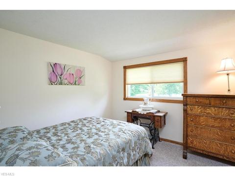 4156 S Ridge Rd, Perry, OH 44081 photo 9