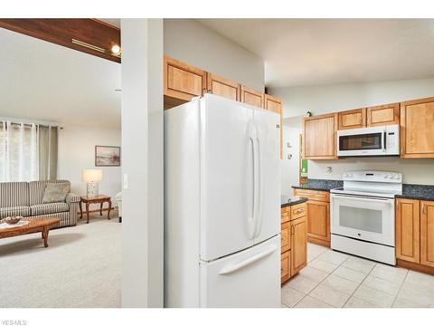 4156 S Ridge Rd, Perry, OH 44081 photo 5