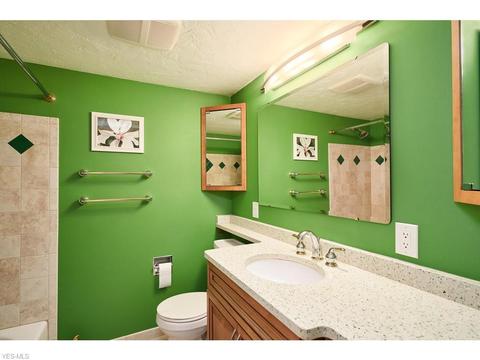 4156 S Ridge Rd, Perry, OH 44081 photo 10
