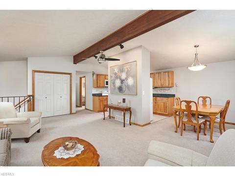 4156 S Ridge Rd, Perry, OH 44081 photo 3