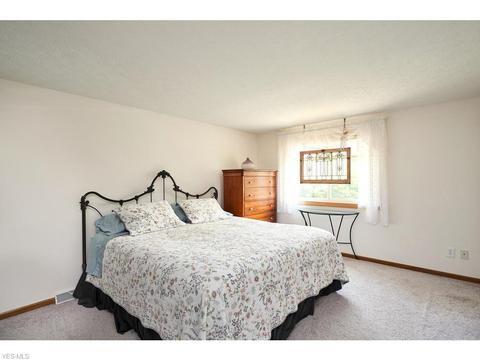 4156 S Ridge Rd, Perry, OH 44081 photo 6