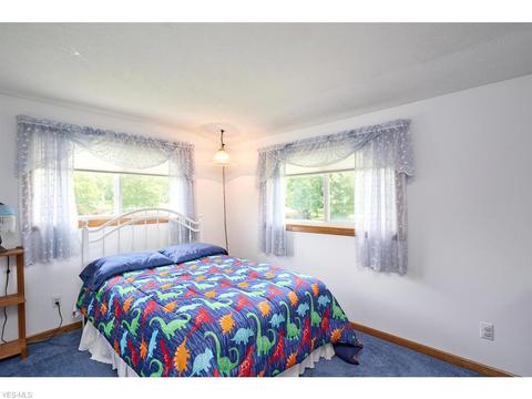 4156 S Ridge Rd, Perry, OH 44081 photo 8