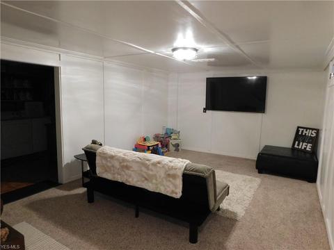 1536 Gurley Ave, Akron, OH 44310 photo 22