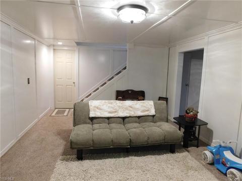 1536 Gurley Ave, Akron, OH 44310 photo 20
