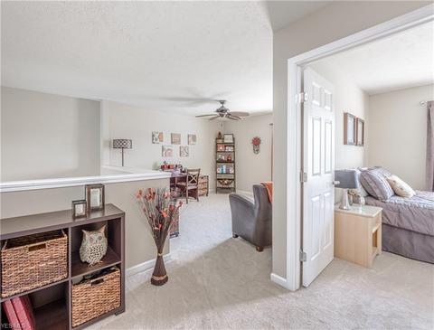 462 Turner Dr, Copley, OH 44321 photo 29