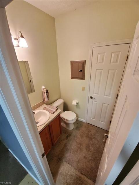 41199 Parsons Rd, Lagrange, OH 44050 photo 25