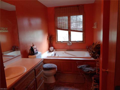 41667 Parsons Rd, Lagrange, OH 44050 photo 12