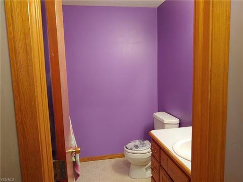41667 Parsons Rd, Lagrange, OH 44050 photo 15