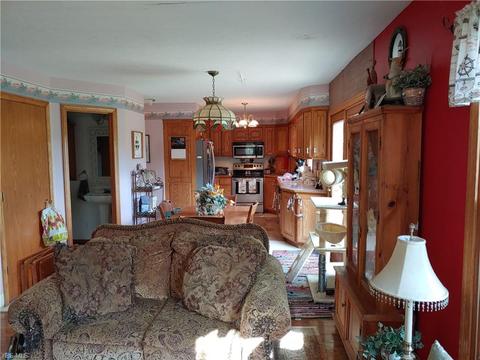 41667 Parsons Rd, Lagrange, OH 44050 photo 8