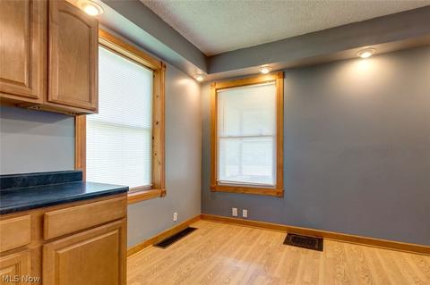 175 E Walnut Ave, Painesville, OH 44077 photo 8