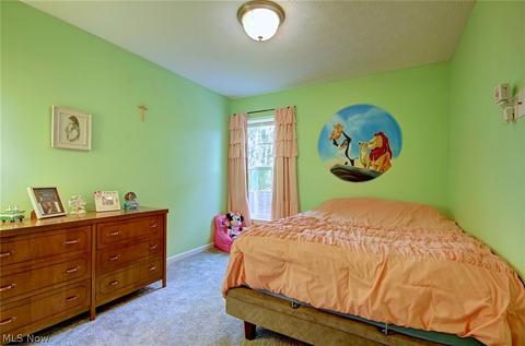 39066 Caistor Dr, Avon, OH 44011 photo 16