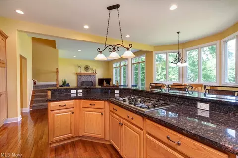 7233 Castle Pine Dr, Solon, OH 44139 photo 16