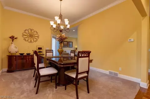 7233 Castle Pine Dr, Solon, OH 44139 photo 8