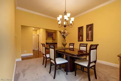 7233 Castle Pine Dr, Solon, OH 44139 photo 7